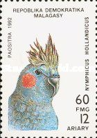 Cockatiel (Nymphicus hollandicus)