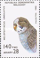 Budgerigar (Melopsittacus undulatus)