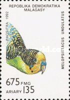 Budgerigar (Melopsittacus undulatus)