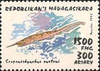 Goblin Shark (Scapanorhynchus owstoni)