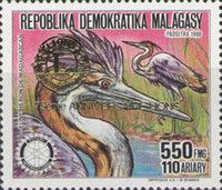 Purple Heron (Ardea purpurea madagascariensis), overprint