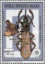 Long-Nec Stink Bug (Cocles contemplator)