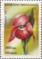 Cypripedium macranthon