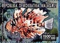 Pterois lunulata