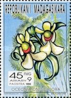 Oceonia oncidiflora