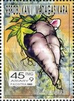 Sweet potato