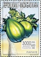 Papaya