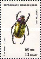 Eastern Hercules Beetle (Dynastes tityus)