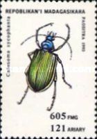 European Calosoma Beetle (Calosoma sycophanta)