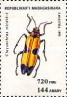 Metallic Wood-boring Beetle (Chrysochroa mirabilis)