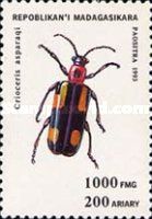 Common Asparagus Beetle (Crioceris asparagi)