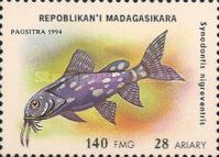 Upside-down Catfish (Synodontis nigriventris)