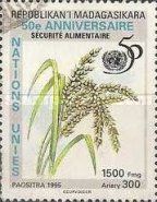 Food Security