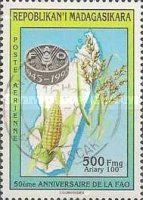 50th Anniversary FAO