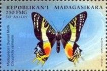 Madagascan Sunset Moth (Chrysiridia rhipheus)