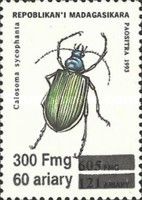 European Calosoma Beetle (Calosoma sycophanta), surcharge