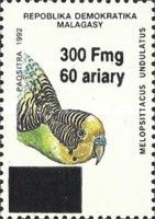 Budgerigar (Melopsittacus undulatus), surcharge