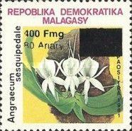 Angraecum sesquipedale, surcharge