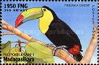 Keel-billed toucan (Ramphastos sulfuratus)