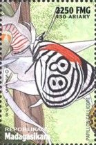 Eighty-eight Butterfly (Callicore cyanisura)