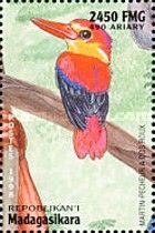 Red-backed Kingfisher (Todiramphus pyrrhopygius)