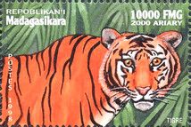 Tiger (Panthera tigris)
