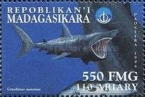 Cetorhinus maximus