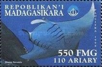 Manta birostris