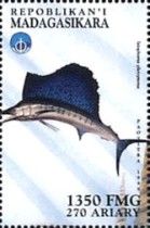 Isiophorus platypterus
