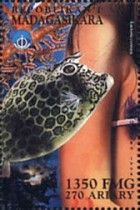 Lactoria cornuta
