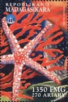 Echinaster sepositus