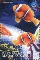 Amphiprion clarkii