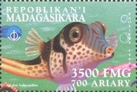 Diodon holacanthus