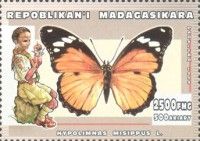 Danaid Eggfly (Hypolimnas misippus)