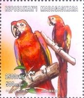 Scarlet Macaw (Ara macao)