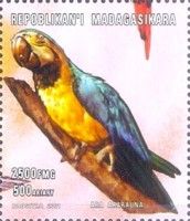 Blue-and-yellow Macaw (Ara ararauna)