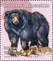 Melursus ursinus