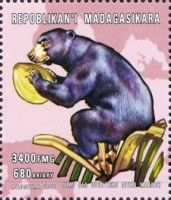 Helarctos malayanus
