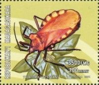 Triatoma infestans