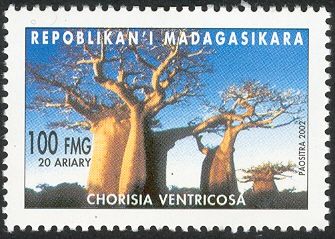 Floss-silk Tree