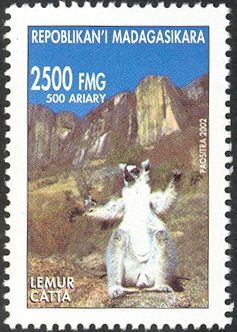Ring-tailed Lemur (Lemur catta)