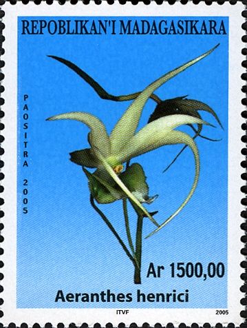Aeranthes henrici