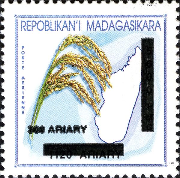 Rice Blue (Surcharge)