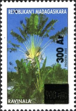 Ravinala, surcharge