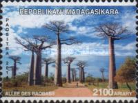 Baobab Alley