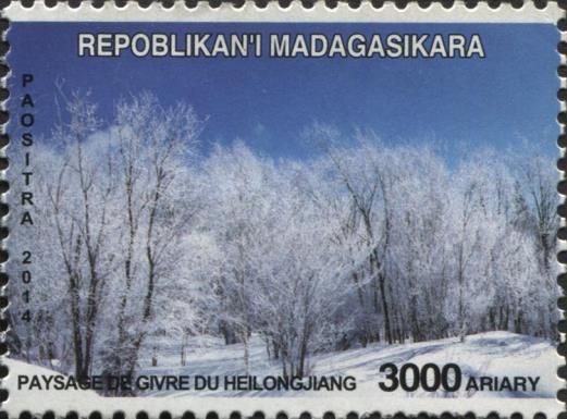 Heilongjiang hoarfrost landscape (China)