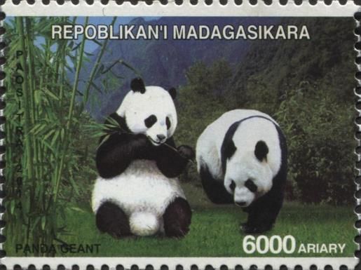 Giant Panda (Ailuropoda melanoleuca)