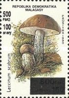 Leccinum scabrum, surcharge