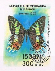Madagascan Sunset Moth (Chrysiridia madagascariensis)