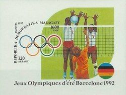Volleyball